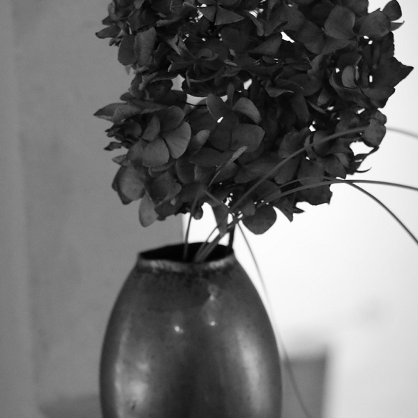 photo1-4