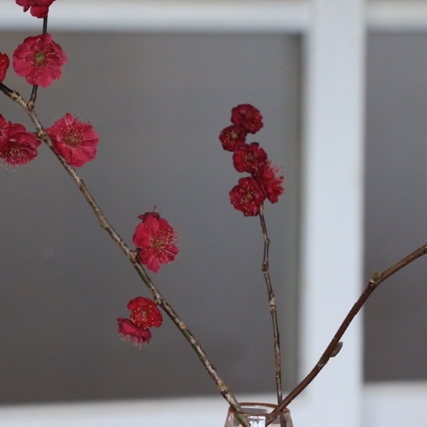 photo1-6