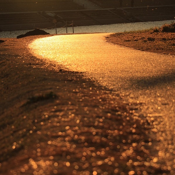 photo1-11