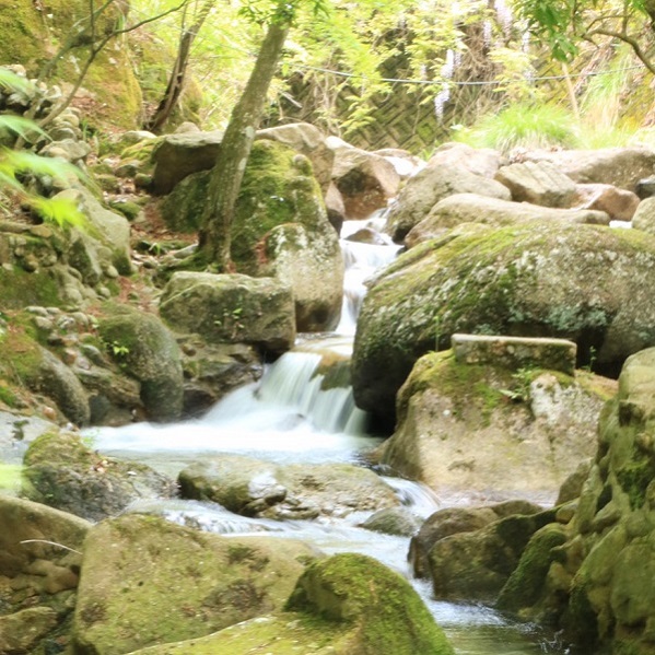 photo1-16