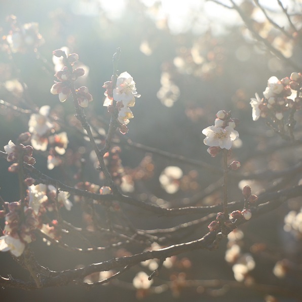 photo1-20