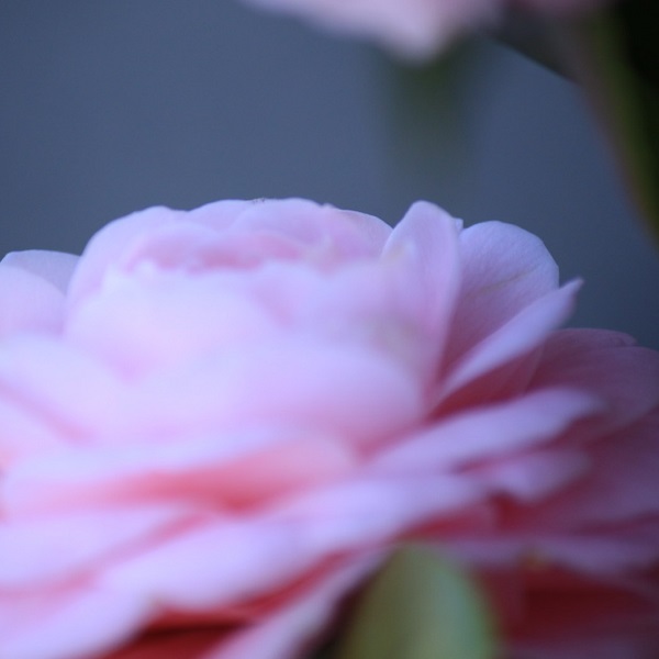 photo1-22